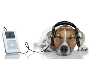 Audio Visual Technology