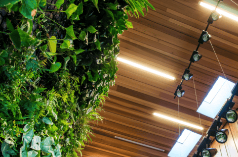 Lighting Control Green Wall 470x311 - Ceres Organics - Lighting Control System