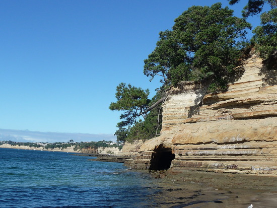 torbay - Torbay Residence, North Shore