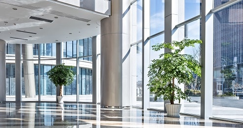 Office Lighting Control Systems Lighting Control Daylight Harvesting 495x260 - Office Lighting Control Systems