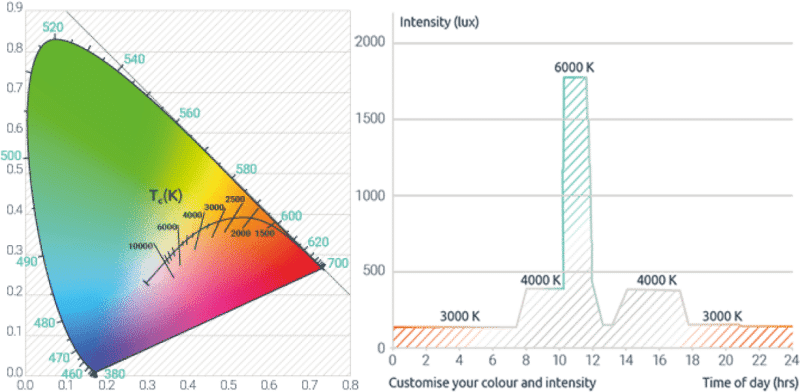 Human Centric Lighting Control colour changing - Human Centric Lighting Control