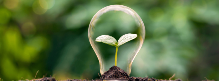 Sustainable Lighting Solution - Achieve Sustainability Goals 25 700x260 - Sustainable Lighting Solution - Achieve Sustainability Goals