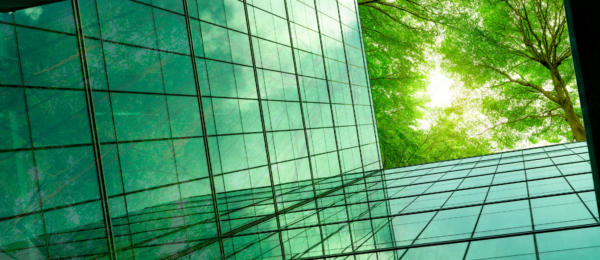 Sustainability 35 600x260 - Sustainability