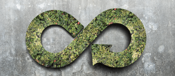 Sustainability 37 600x260 - Sustainability