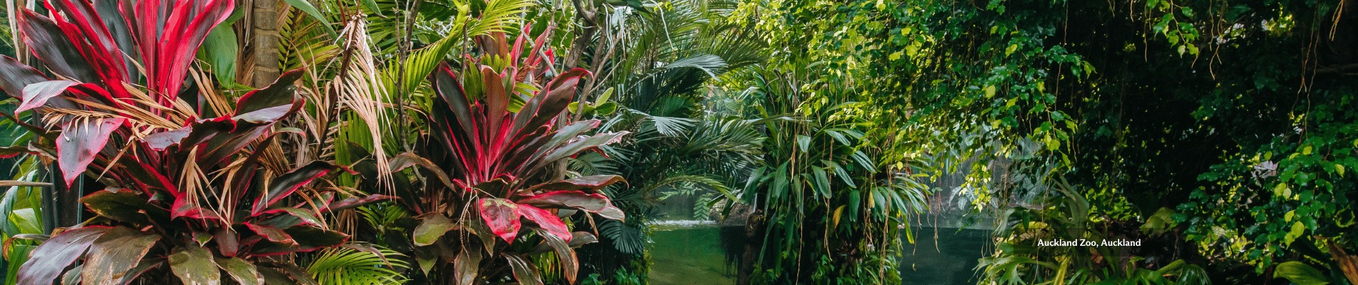 Auckland Zoo Sustainability 2 - Sustainability