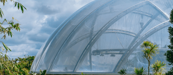 Case Study Cloud Control System Auckland Zoo Swamp Forest Habitat 5 600x260 - Case Study