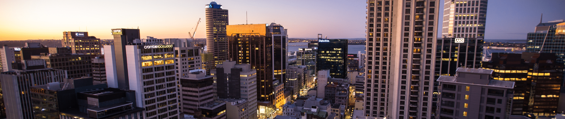 Auckland - Our Team