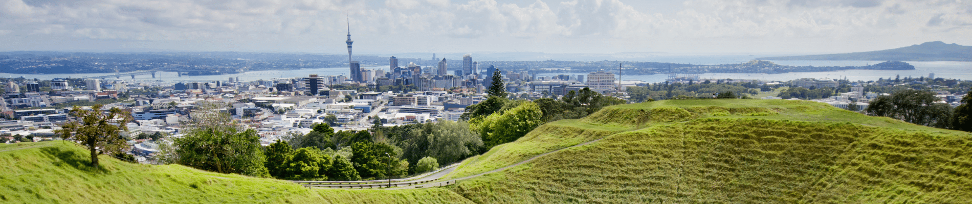 Mt Eden - Sponsorships
