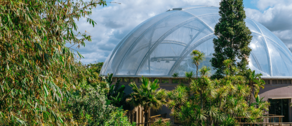 Auckland Zoo 1920x1080 1 600x260 - Case Study