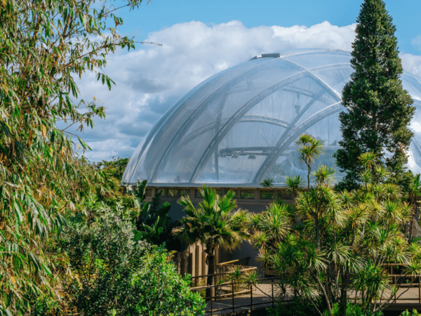 Auckland Zoo